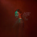 Powne,audrey - From The Fire - Vinyl Record