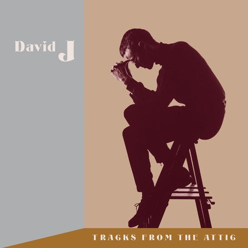 David J - Tracks From The Attic - Music CD