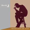 David J - Tracks From The Attic [3LP Brown]
