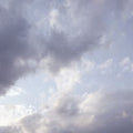 Celer - It Would Be Giving Up - Music CD