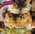 Peter & Test Tube Babies - Mating Sounds Of South American Frogs - Music CD
