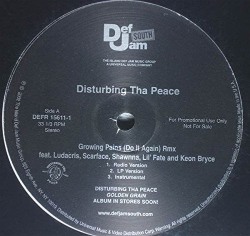 Disturbing Tha Peace Click - Growing Pains - Vinyl Record