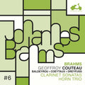 Brahms / Couteau / Coeytaux - Clarinet Sonata Horn Trio - Music CD