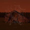 Cult Of Luna - Raging River - Vinyl Record