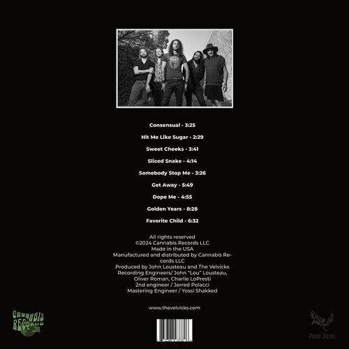 The Velvicks - Greatest Hits