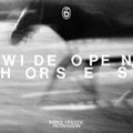 Mcmorrow,james Vincent - Wide Open Horses - Vinyl Record