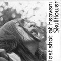 Skullflower - Lost Shot At Heaven - Vinyl Record