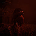 Elfeky,amira - Skin To Skin - Music CD