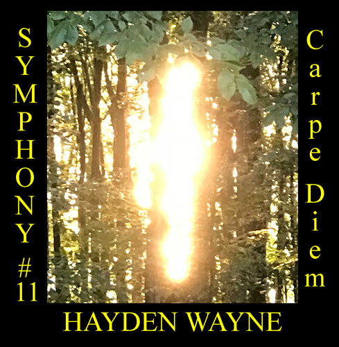 Wayne,hayden - Symphony #11: Carpe Diem - Music CD