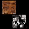 What It's Like/Ends [7" Vinyl] Vinyl Record