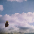 Pond - Stung - Music CD