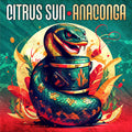 Anaconga Music CD