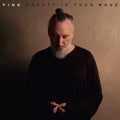 Fink - Beauty In Your Wake - Vinyl Record