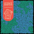 Addict Ameba - Caosmosi - Vinyl Record