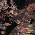 Decosimo,joseph / Richardson,luke / Schrey,cleek - Beehive Cathedral - Vinyl Record