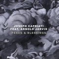 Capriati,joseph - Peace & Blessings - Vinyl Record