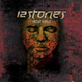 12 Stones - Picture Perfect - Vinyl Record