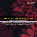Putterman,mika / Vinikour,jory - Bach Chez Les Mendelssohn - Music CD