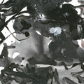 Itabashi,fumio / Schwarz,henrik / Kuniyuki - Watarase - Vinyl Record