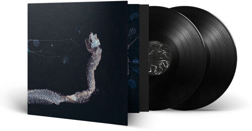 Tenhi - Maaaet - Vinyl Record