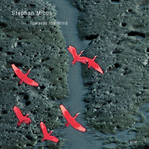 Micus,stephan - Towards The Wind - Music CD