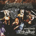 Snoop Dogg - No Limit Top Dogg - Vinyl Record
