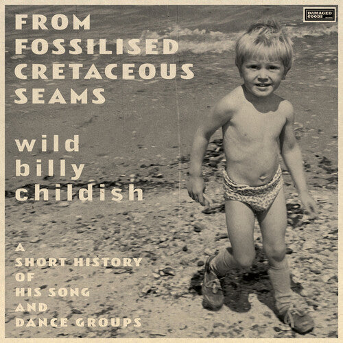 Childish,billy - From Fossilised Cretaceous Seams: A Short History - Music CD