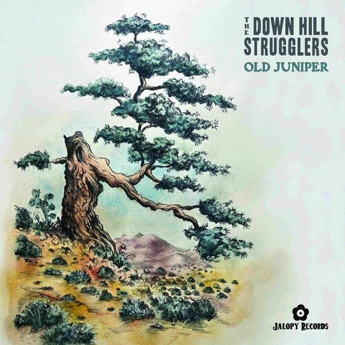 Down Hill Strugglers - Old Juniper - Vinyl Record