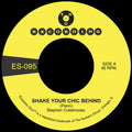 Colebrooke,stephen - Shake Your Chic Behind / Stay Away From Music - Vinyl Record