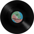Riguisimo,demi - Windows 95 Anthem - Vinyl Record
