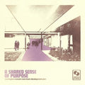 Warrington-runcorn New Town Development Plan - Shared Sense Of Purpose - Vinyl Record