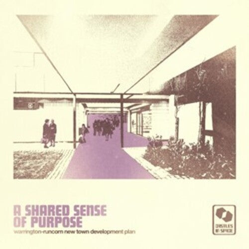 Warrington-runcorn New Town Development Plan - Shared Sense Of Purpose - Vinyl Record