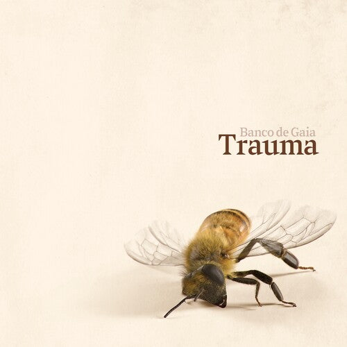 Banco De Gaia - Trauma - Vinyl Record