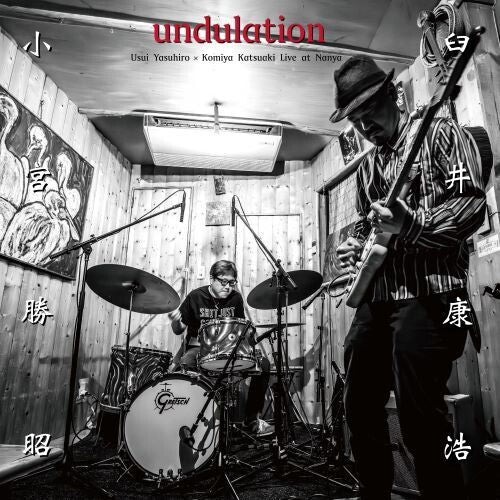 Usui,yasuhiro - Undulation - Vinyl Record
