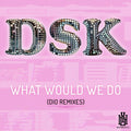 Dsk - What Would We Do (dio Remixes) - Music CD
