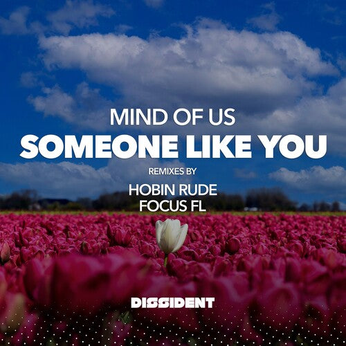 Mind Of Us - Someone Like You (streaming Version) - Music CD