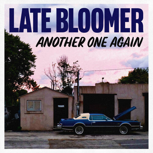 Late Bloomer - Another One Again - Vinyl Record