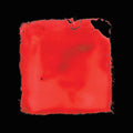 Last Chance To See [LP] Vinyl Record