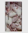 Rat Film - Rat Film - Blu-ray
