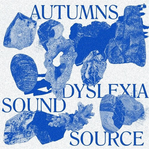 Autumns - Dyslexia Sound Source - Vinyl Record