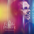 Gluhmann,marco - Fragile Present - Vinyl Record