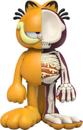 Xxray Plus Garfield - Xxray Plus Garfield - Collectibles