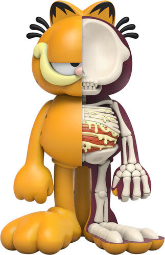 Xxray Plus Garfield - Xxray Plus Garfield - Collectibles
