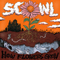 How Flowers Grow [LP] Vinyl Record