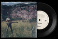 Appino - Le Vecchie Maniere - Vinyl Record