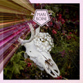 Alva (Gate) [LP] Vinyl Record