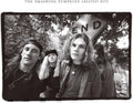 Smashing Pumpkins - Rotten Apples: Greatest Hits - Vinyl Record