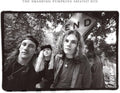 Rotten Apples: Greatest Hits [LP] Vinyl Record
