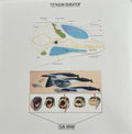 Sun Araw - Cetacean Sensation - Vinyl Record