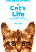 Cat's Life - Cat's Life - DVD